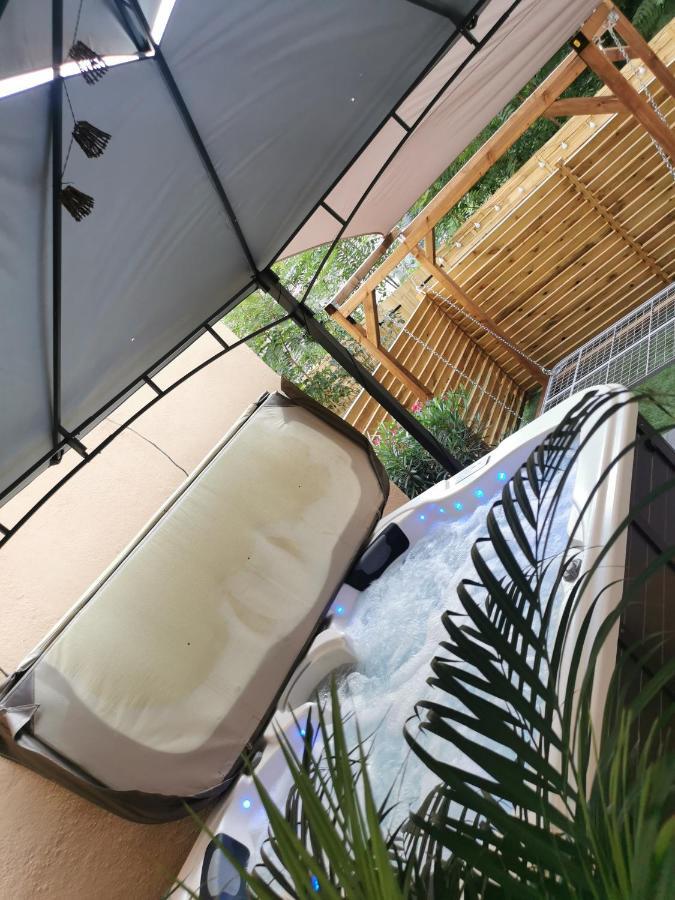 Lyon Superbe Jacuzzi Vue Sur Jardin Lägenhet Villeurbanne Exteriör bild